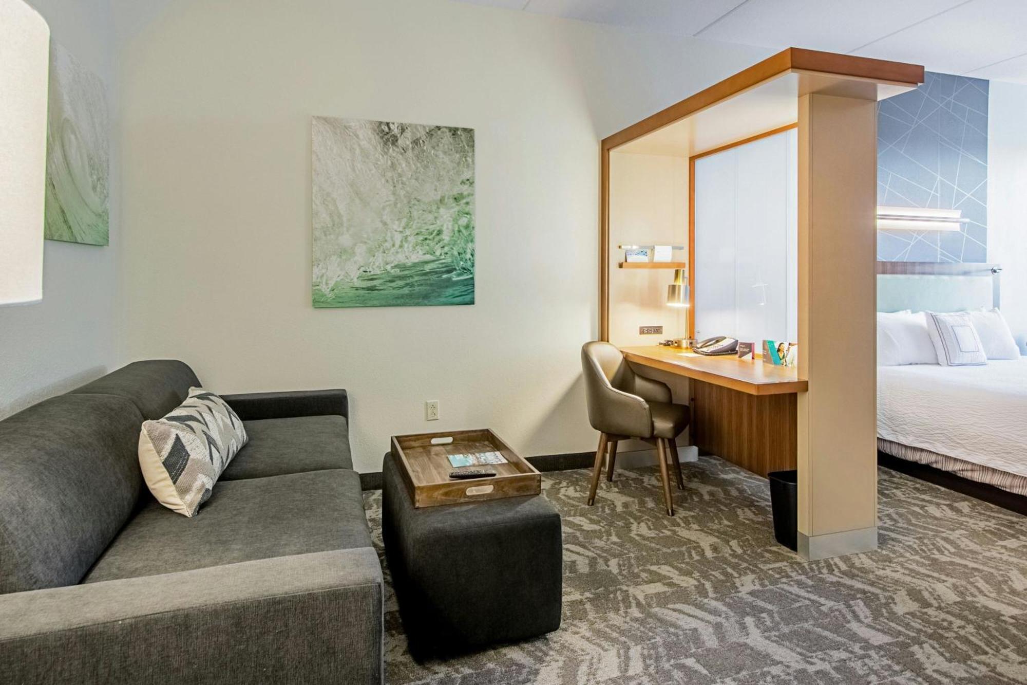 Springhill Suites Tampa North/Tampa Palms Exterior foto